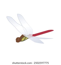 Illustration of red dragonfly, Vector illustration