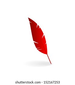 Illustration Red Feather Isolated On White Background - Vector