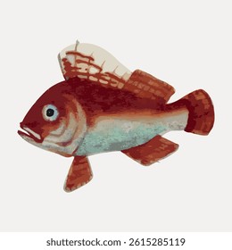 Illustration of a red fish with detailed scales and fins. The fish is swimming, showcasing its vibrant red color and intricate scales. Red fish art. Vintage fish illustration, animal vector.