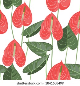 Illustration of red flamingo Anthurium flower  seamless pattern. White background.