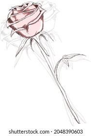 Illustration of Red Flower object drawing