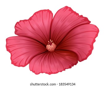 Illustration of a red flower on a white background