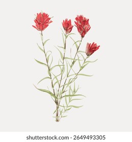 Illustration of red flowers with green stems. The red flowers are vibrant, and the green stems add contrast. Red flowers stand out against a plain background. Vintage flower illustration vector.
