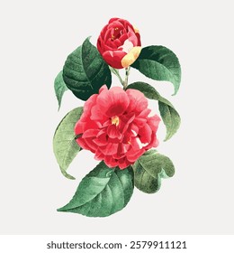 Illustration of red flowers with lush green leaves. The red flowers stand out with their vivid color. Detailed leaves complement the red flowers beautifully. Vintage flower illustration, vector.