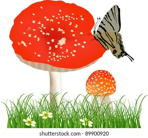 illustration red fly-agaric in green grass