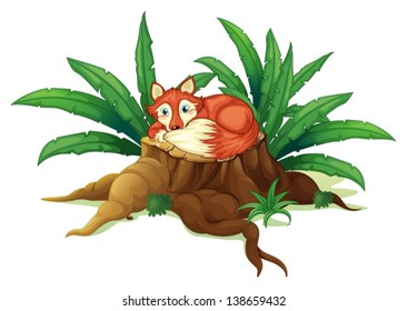 Illustration of a red fox lying above the wood on a white background