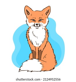 Illustration of a red fox sitting. Fluffy tail. Forest animal. Vector isolated art illustration hand drawn