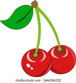 illustration of Red fruit Fresh cherry on white background