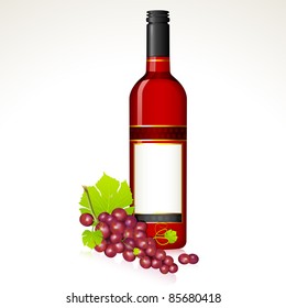 illustration of red grape with bottle of red wine