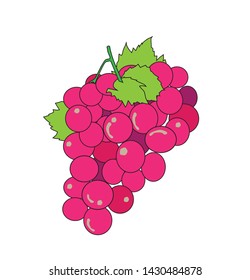 illustration of red grapes, vector
