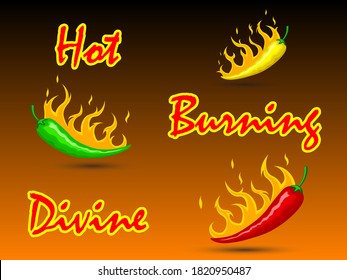 Illustration red, green and yellow burning hot mexican peppers with fire and burning. Inscription Hot Burning Divine. For cooking, websites, blogs, advertising, kitchen. Vector horizontal orientation