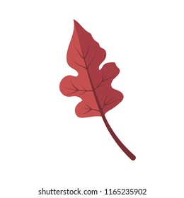 Illustration of a red leaf