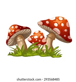 Illustration of a red mushroom in the grass