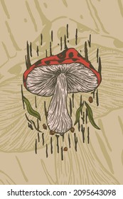 Illustration of a red mushroom with leaves and magic aura