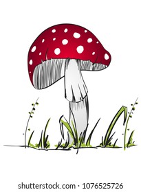 Illustration of a red mushroom on a white background. Red poison mushroom isolated on white background.