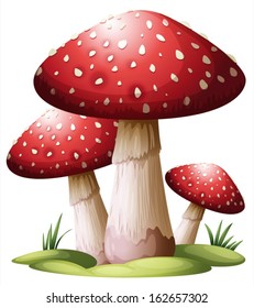 Illustration red mushroom white background