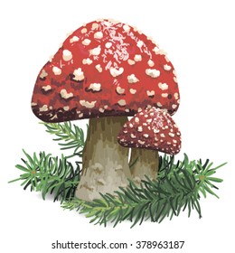 Illustration of a red mushroom on a white background
