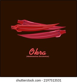 Illustration Of Red Okra Fruit (lady Finger) For A Healthy Vegetable. Flat Vector Design