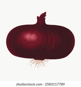 Illustration of a red onion with a deep red hue. The red onion is depicted with a textured surface. Red onion roots are visible at the bottom. Vintage vegetable illustration vector.