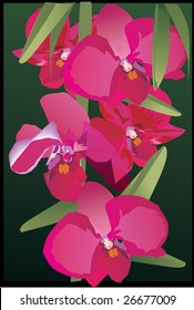 illustration with red orchid decoration
