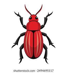 Illustration of red palm weevil beetle isolated 