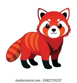 Illustration of  Red Panda animal