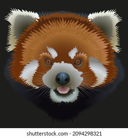 ilustración de una cabeza de panda roja sobre un fondo negro