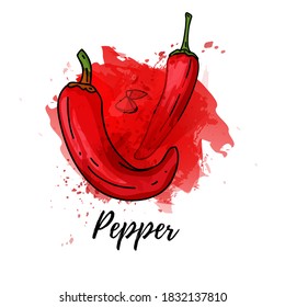 illustration of red papper. Vector watercolor splash background. Graphics for cocktails, fresh spice design. Natural organic chili label