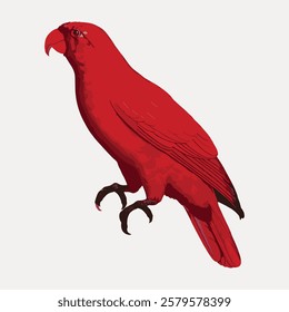 Illustration of a red parrot with detailed feathers and a beak. The red parrot stands on a neutral background, showcasing its vibrant red color and elegant posture. Vintage bird illustration vector.