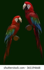 illustration with red parrots isolated on green background