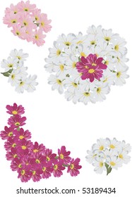 illustration with red, pink and white flowers collection