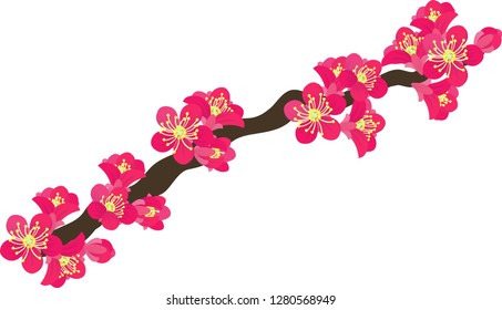 The illustration of red plum blossoms