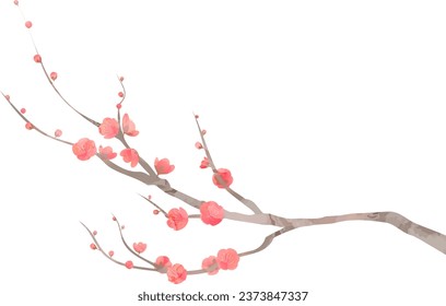 illustration of red plum branch