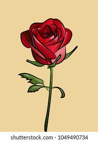 illustration red rose