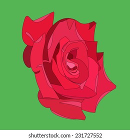 Illustration of a red rose