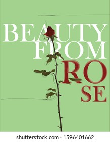 illustration of red rose banner and background design