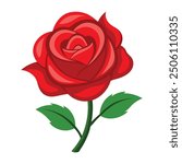 Illustration of Red rose isolated on white