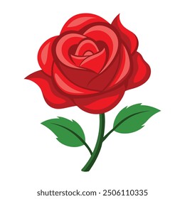 Illustration of Red rose isolated on white