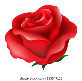 Illustration of a red rose on a white background