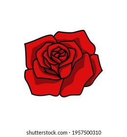 illustration of red rose petals on white background