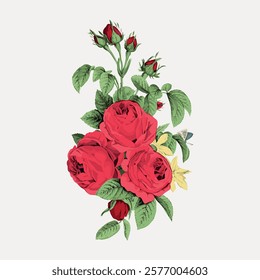 Illustration of red roses with green leaves. Red roses in bloom, surrounded by green leaves. Detailed red roses and leaves, vibrant and lush. Vintage illustration isolated on white, vector.