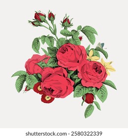 Illustration of red roses with green leaves. Roses in bloom, surrounded by buds. Floral design with vibrant red roses and lush green leaves. Vintage flower illustration isolated on white, vector.