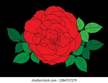 illustration with red roses sketch on black background