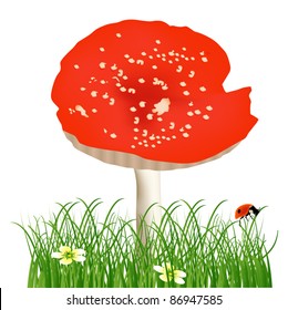 illustration red single fly-agaric in green grass