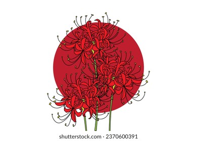 illustration of red spider lily flower with dark red circle on white background.