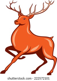 Illustration of a red stag deer buck marching walking facing side set on isolated white background done in cartoon style.