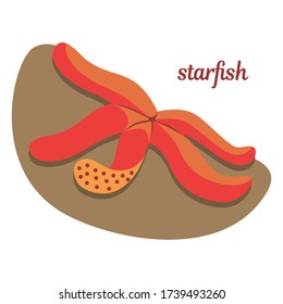 illustration with a red starfish on a stone. sea animal cartoon icon
