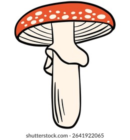Illustration of a red toadstool mushroom with a white stem and white spots on the cap. Perfect for woodland themes, fairytales, forest nature scenes, autumn vibes or children's books.