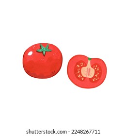 Illustration of red tomato in hand drawn cartoon watercolor style isolated on white background. Vector design element.