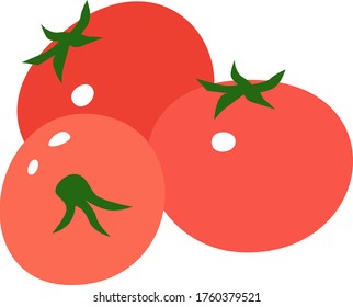 Illustration of red tomato with lycopene.